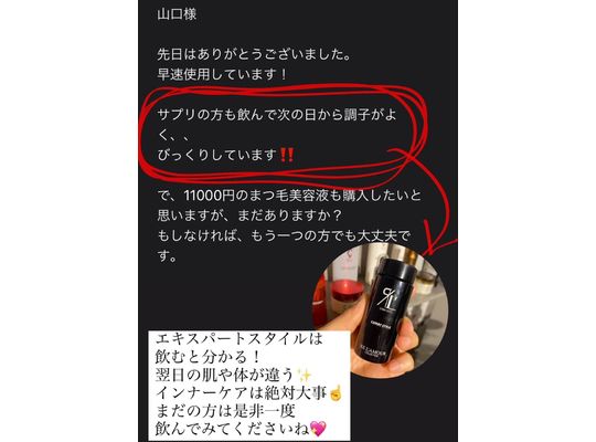 リアムール　エキスパートスタイル