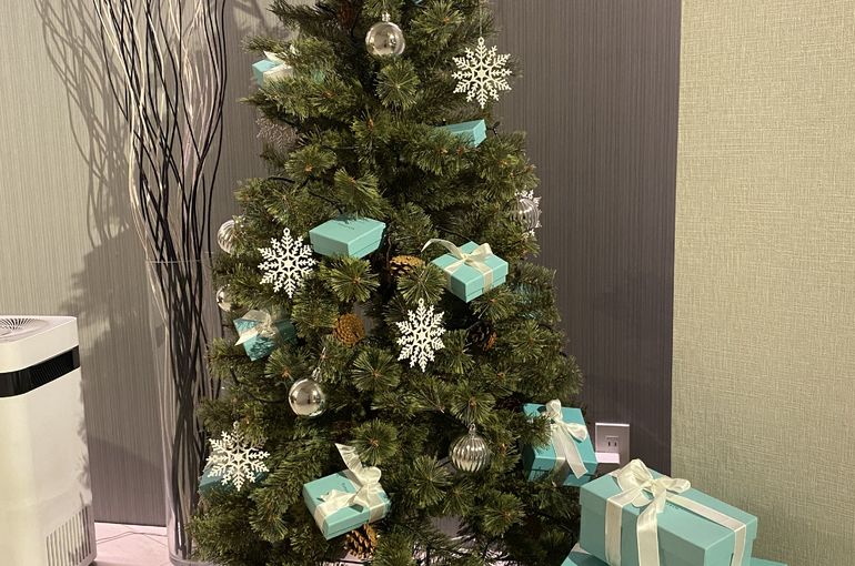 リアボーテ 取扱い】グランスキンのクリスマスコフレ ウォーターに感動